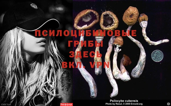 метадон Алексин