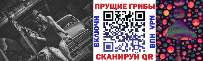 MEGA Котовск Псилоцибиновые грибы прущие грибы